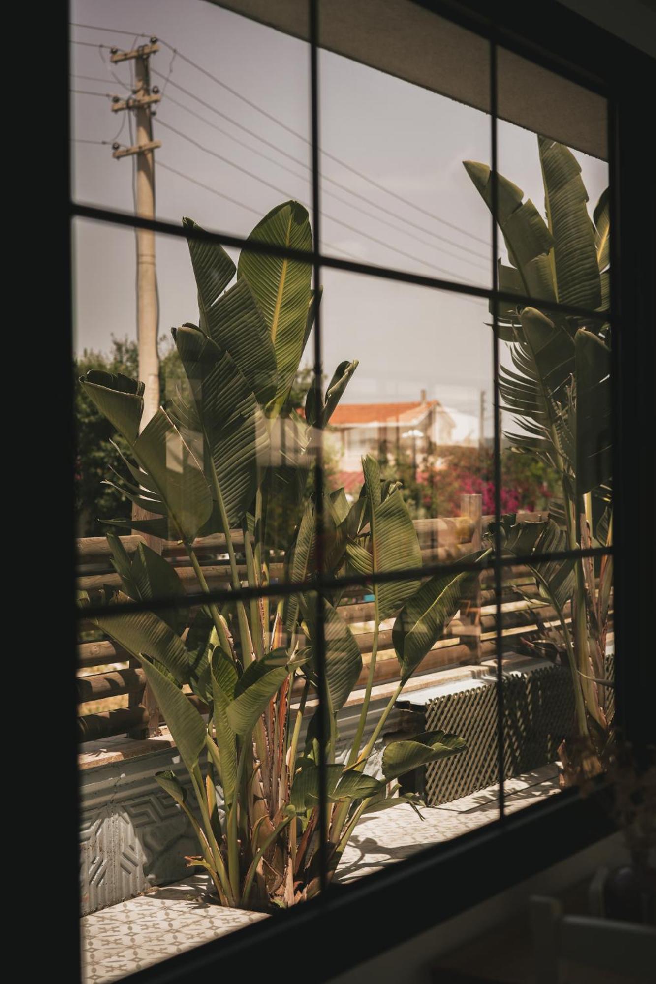 La Vida Otel Urla Ngoại thất bức ảnh